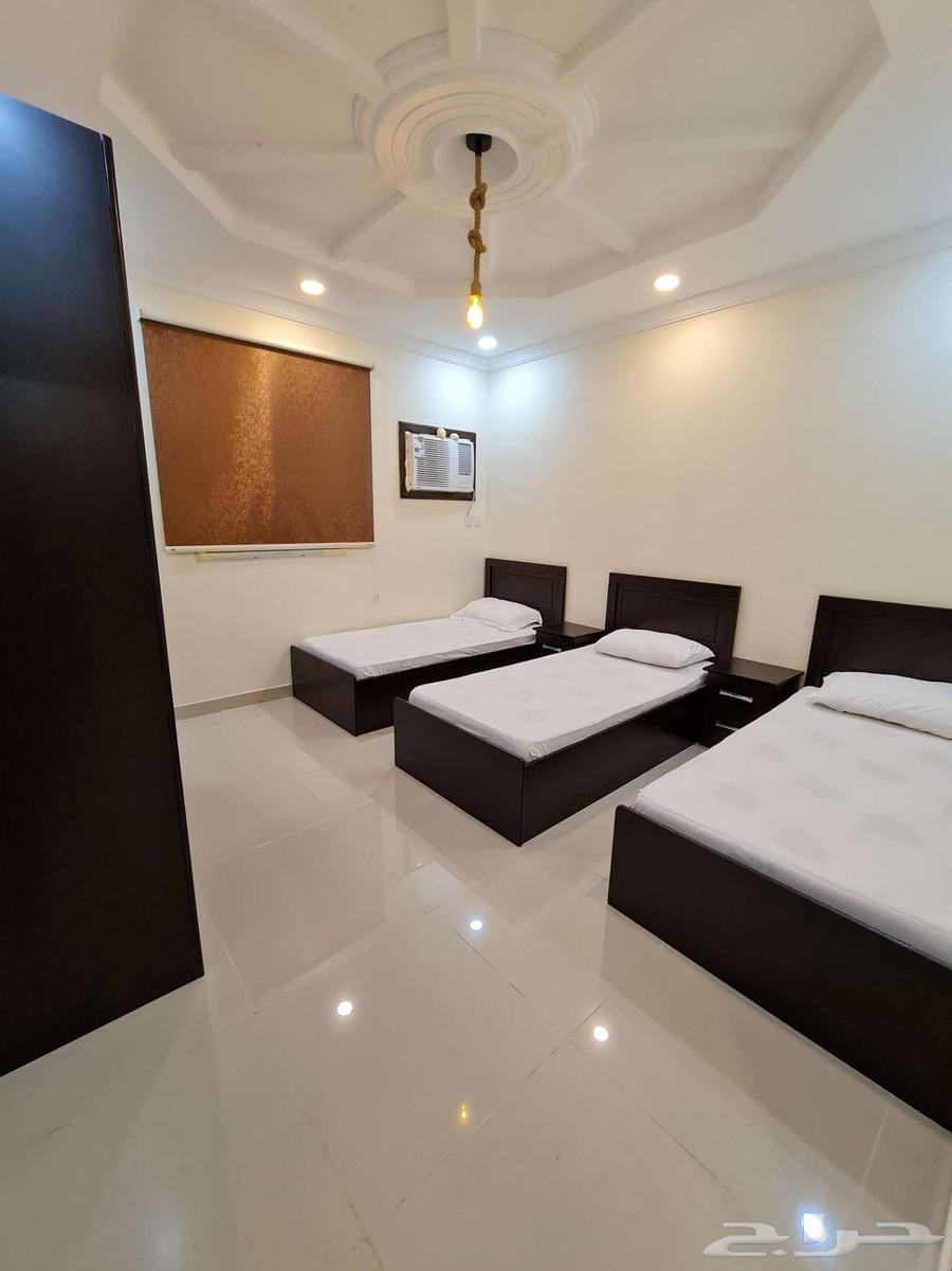 شقة للإيجار