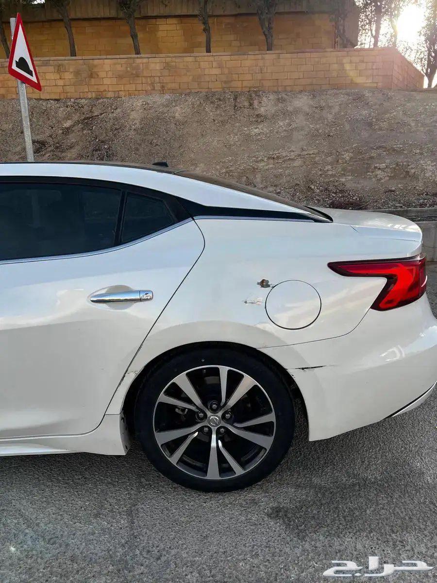 Maxima SV 201664353467570307110