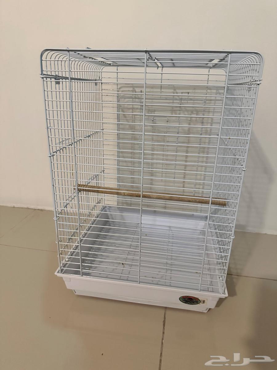 Semi-new cage64116637973762112
