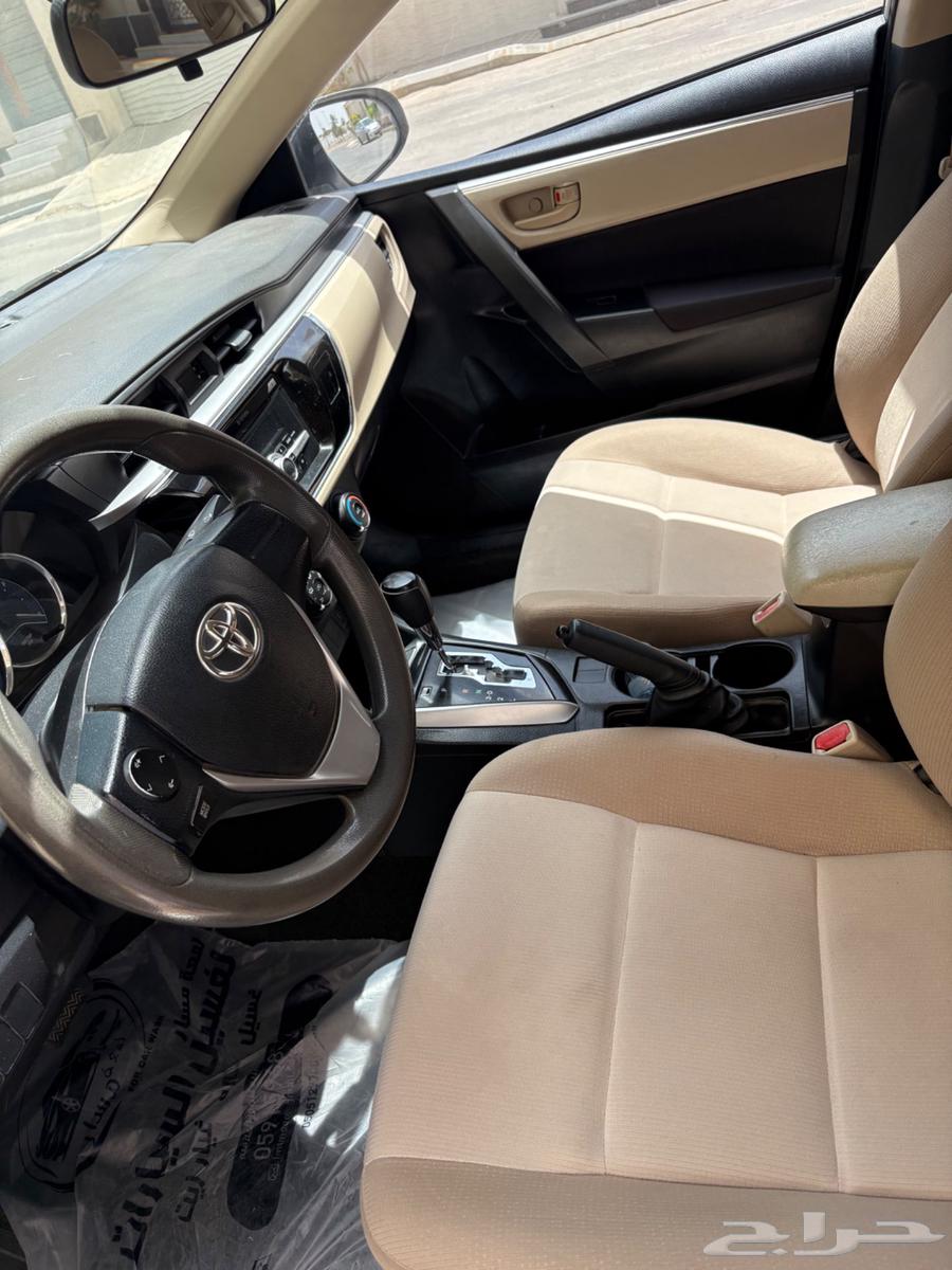 كوروالا64358454546178111