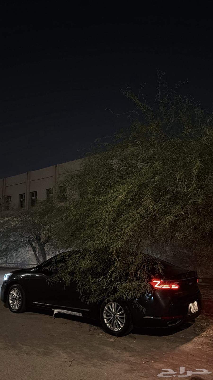 للبيع كيا كادنزا64377797867011111