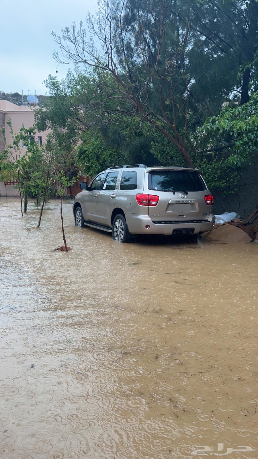 Scouya 2008 Store64357835559169110