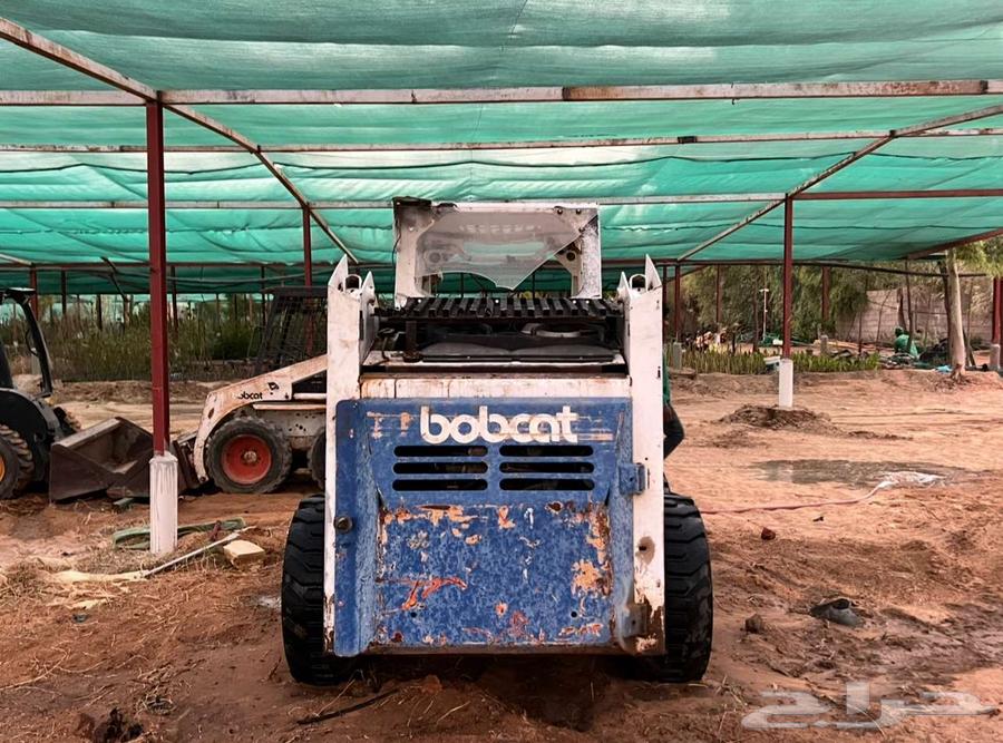 للبيع بوبكات 843 Bobcat 84364351896558722114