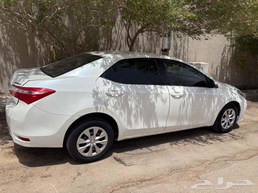 كوروالا64358454546178112