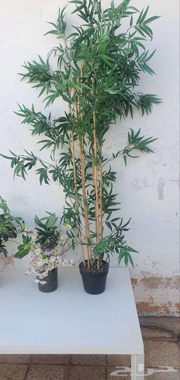 Artificial tree - Artificial plant - Luxury artificial roses and flowers for decoration64129311460355111