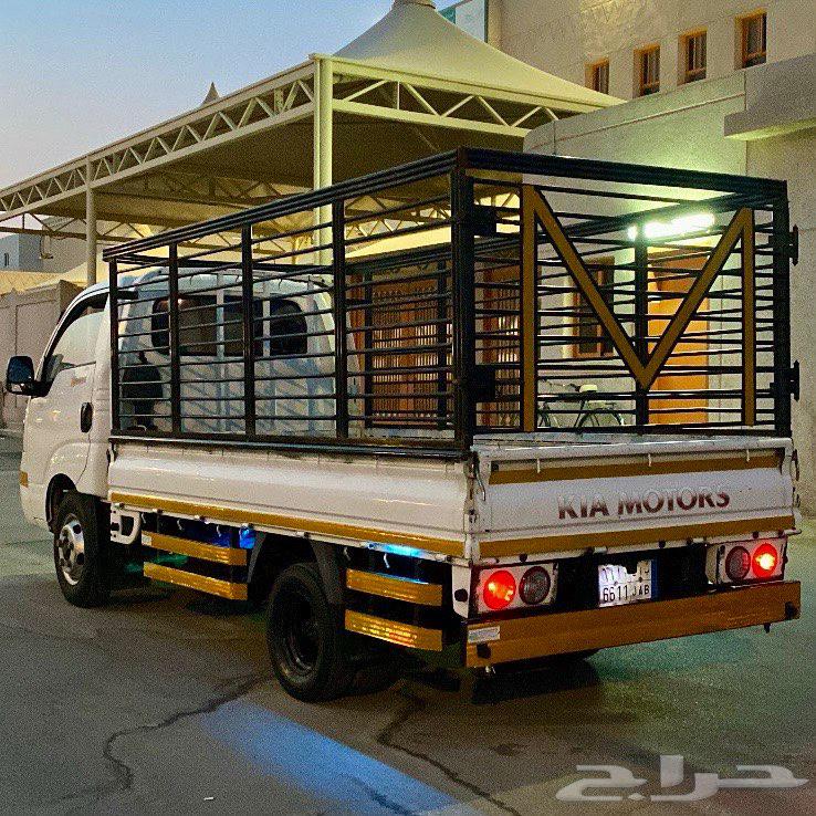 دينا كيا 201664369849668226113