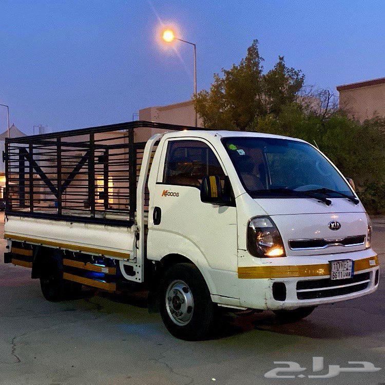 دينا كيا 201664369849668226110