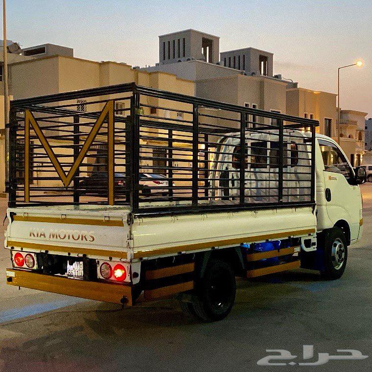 دينا كيا 201664369849668226112