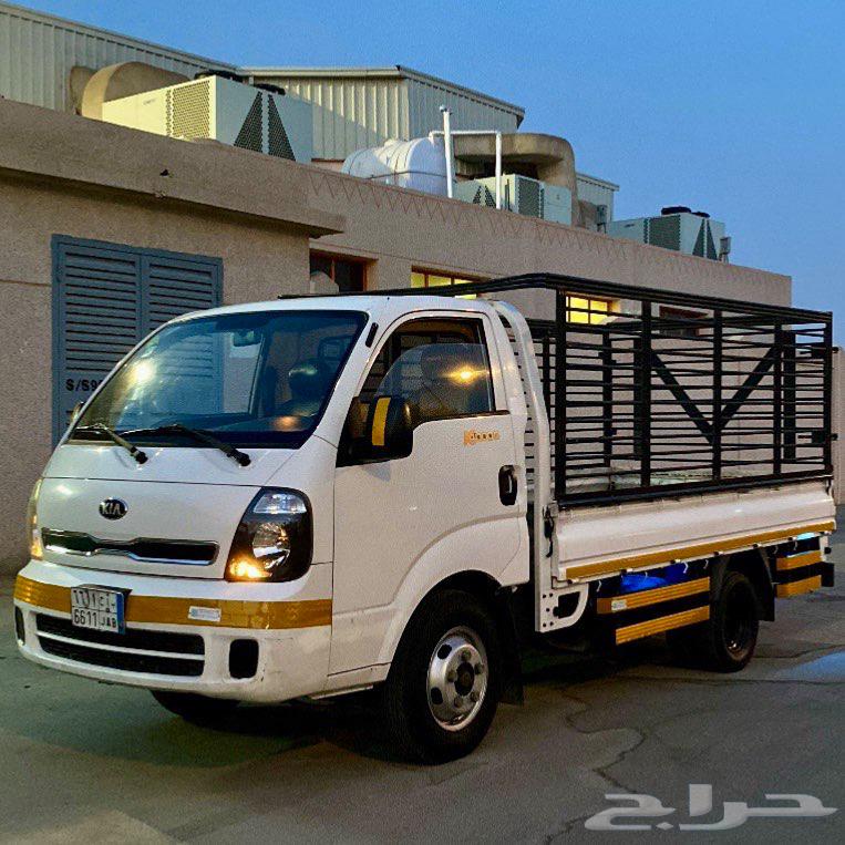 دينا كيا 201664369849668226111