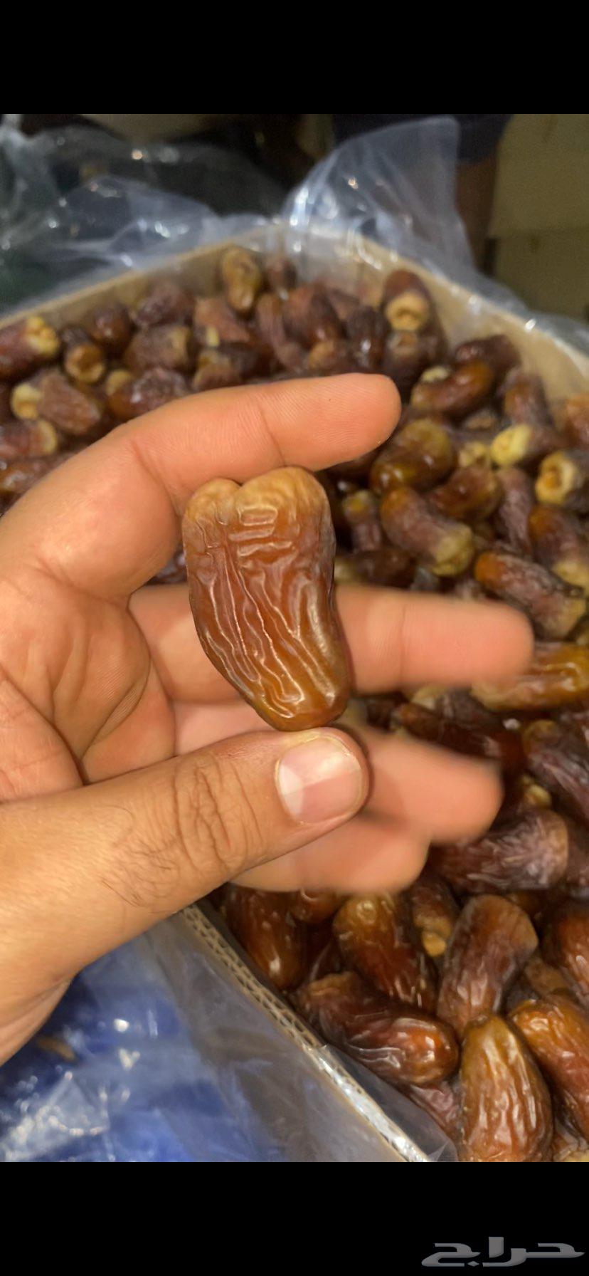 برني العيص الملكي جوده عاليه64145054770305111