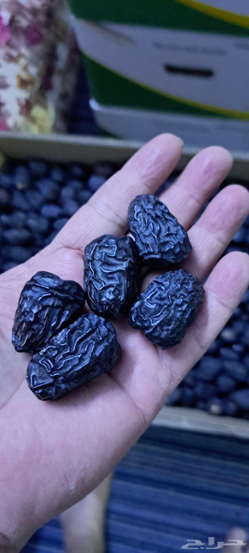 عجواء للبيع في المدينه خيبر64146242175747111