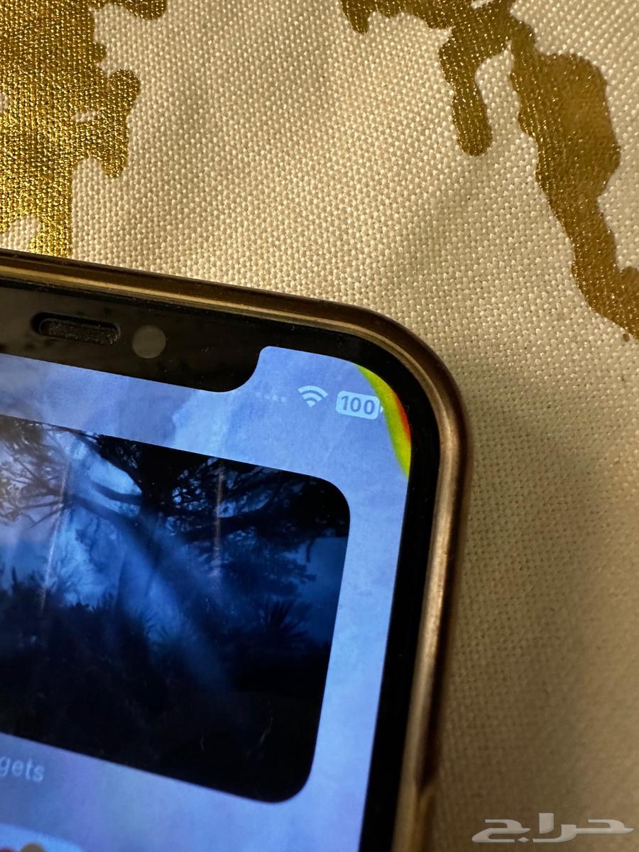 iPhone 12 pro64143993619715111