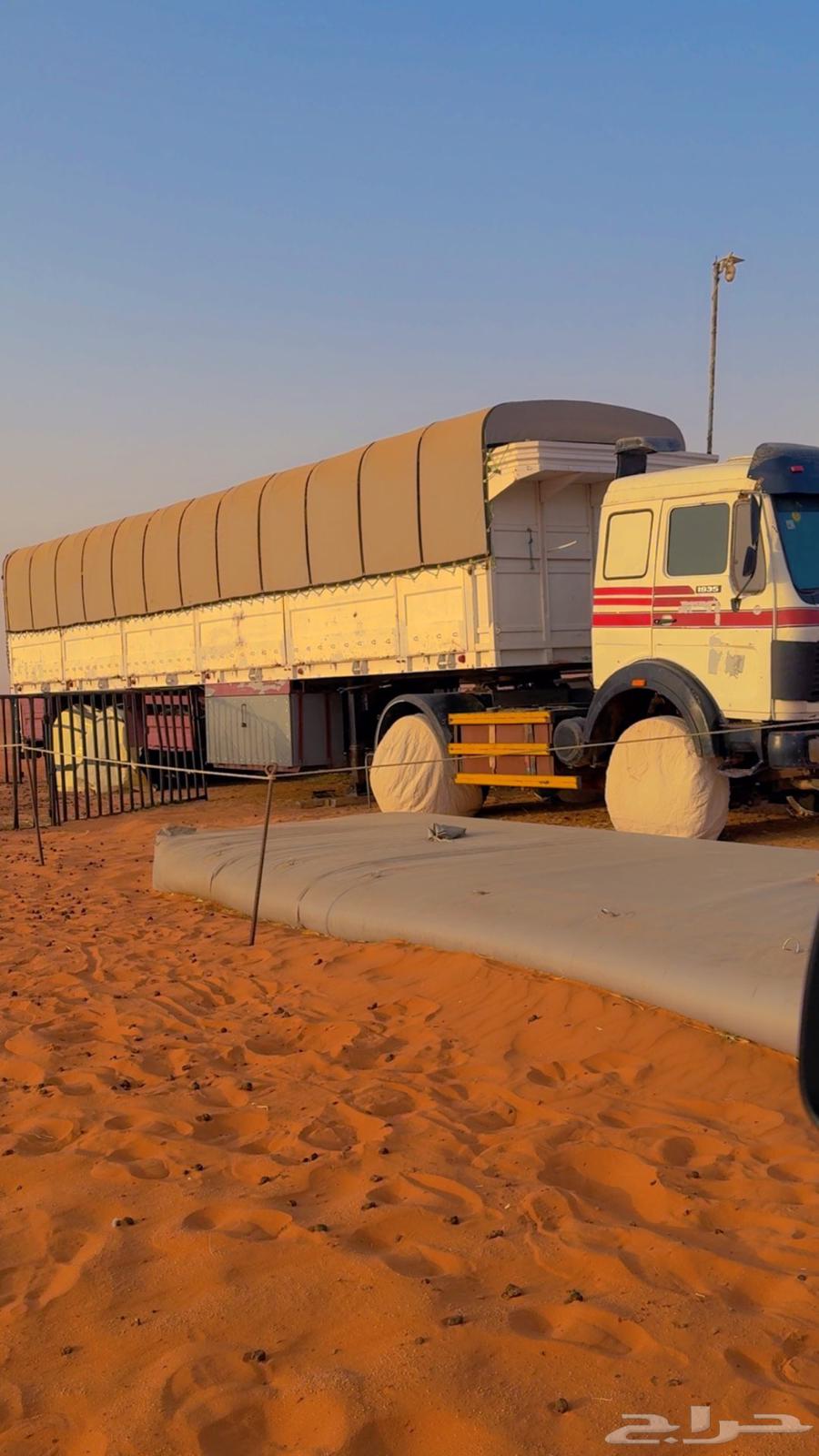 للبيع تيدر وراس البي64368659515267111