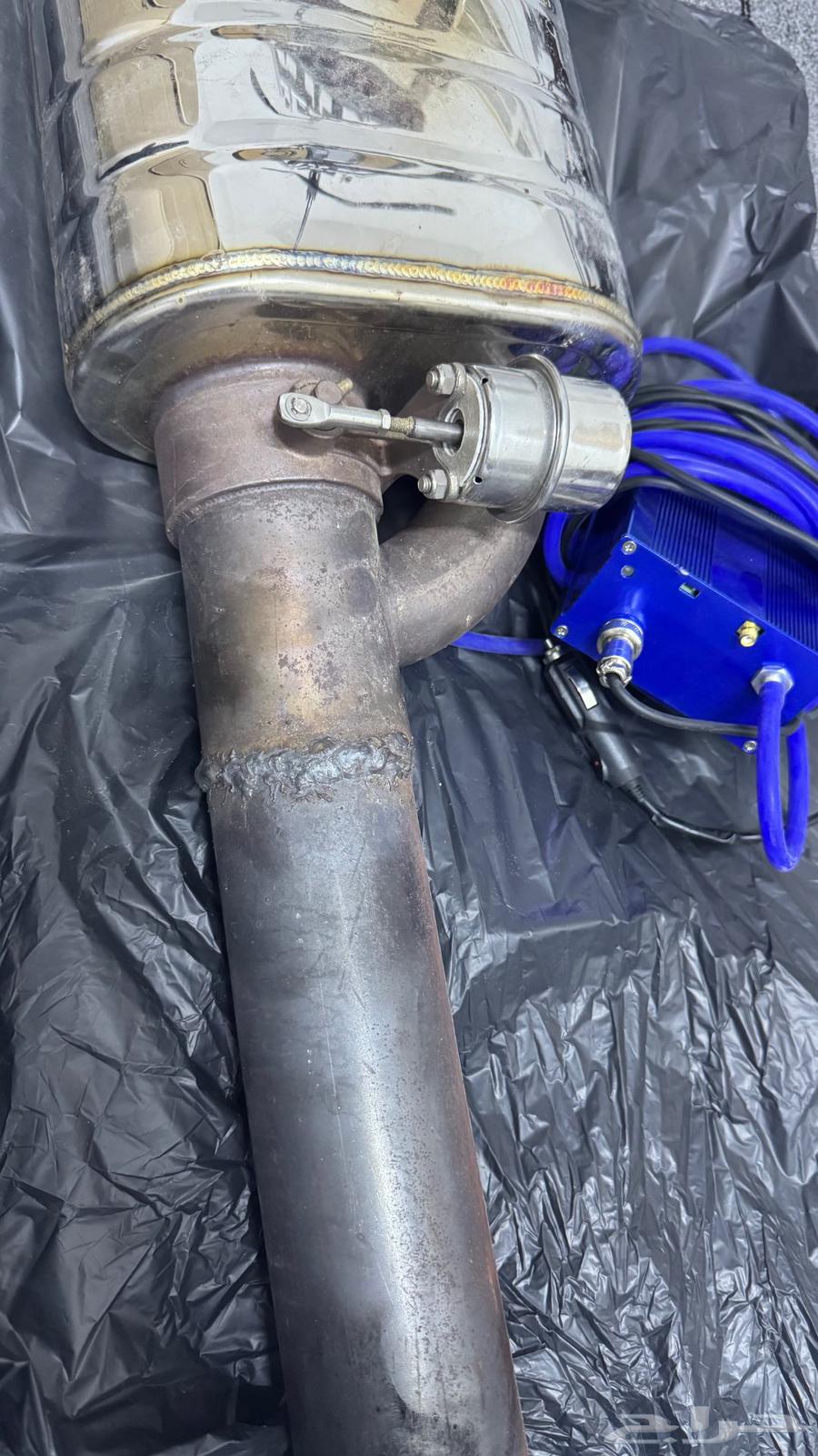 Kursa Bear64369367065730110