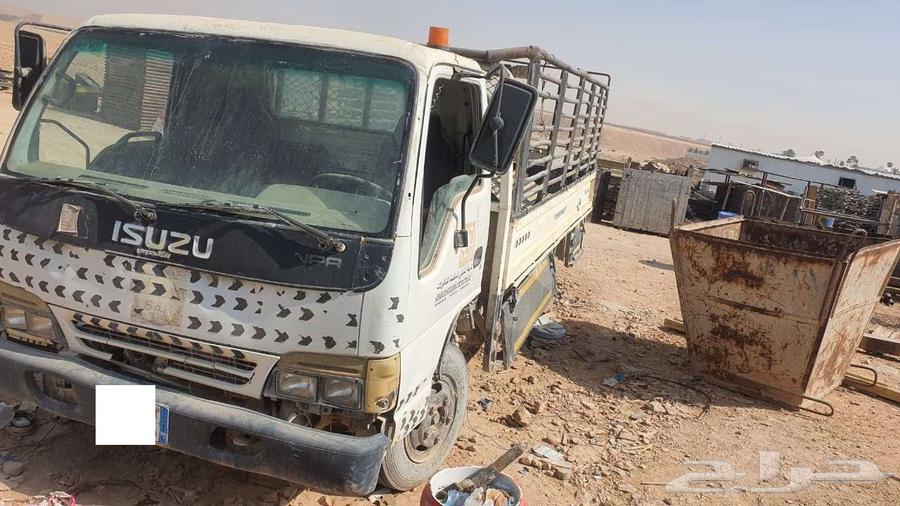 دينا ايسوزو 200264363995408899112