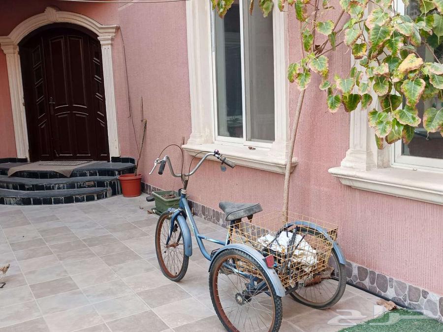 سيكل ثلاث كفرات للبيع 35064262020883713110