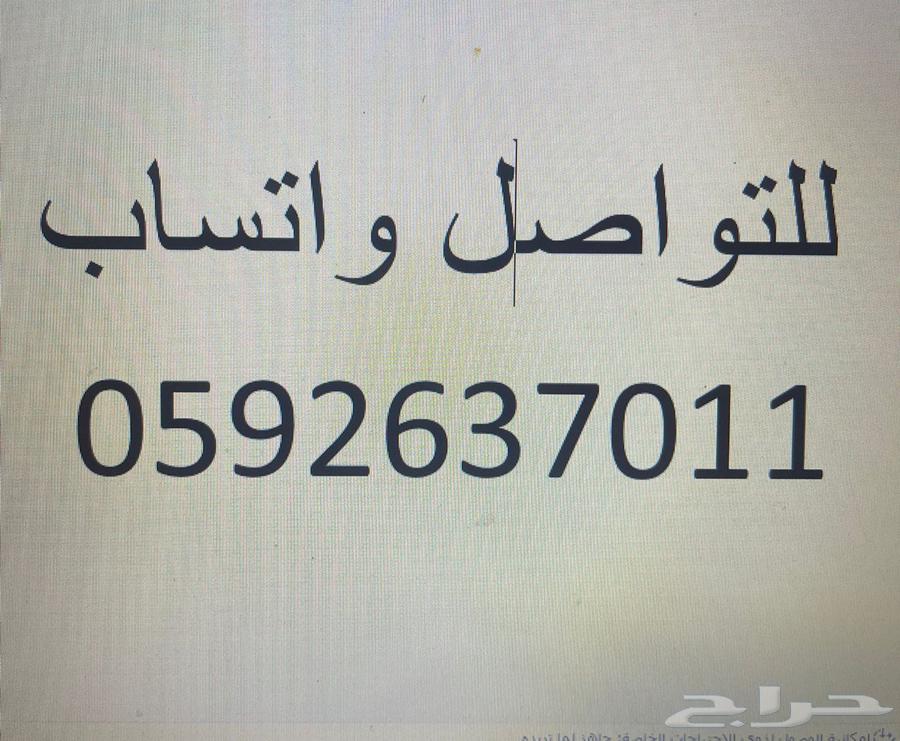 Dwarf buck and doe for sale64365674247553112