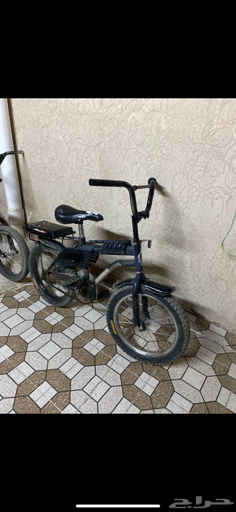 سيكل رامبو للبيع صيني السوم300 فقط لا يجي إلا الصامل64150048242947111