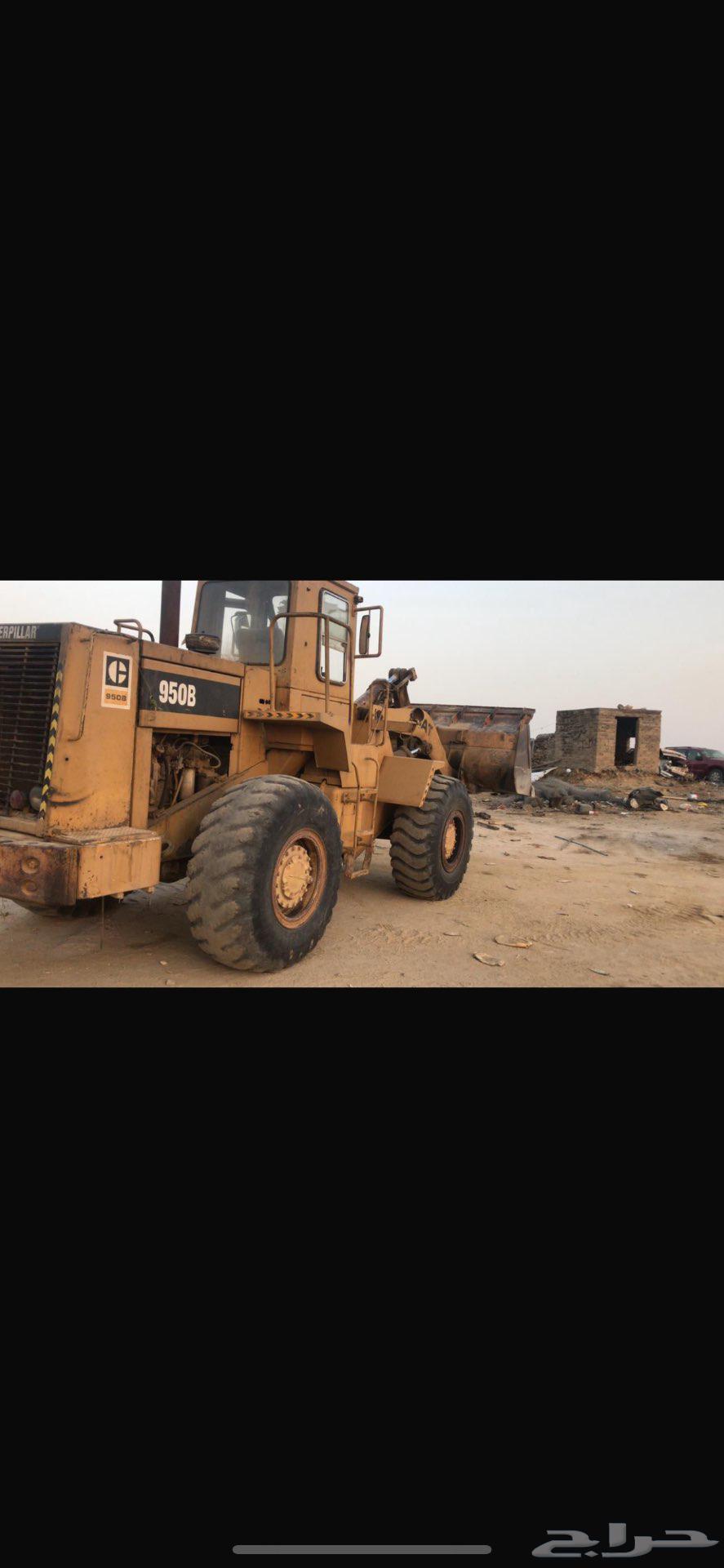 شيول 950b64374230008194110