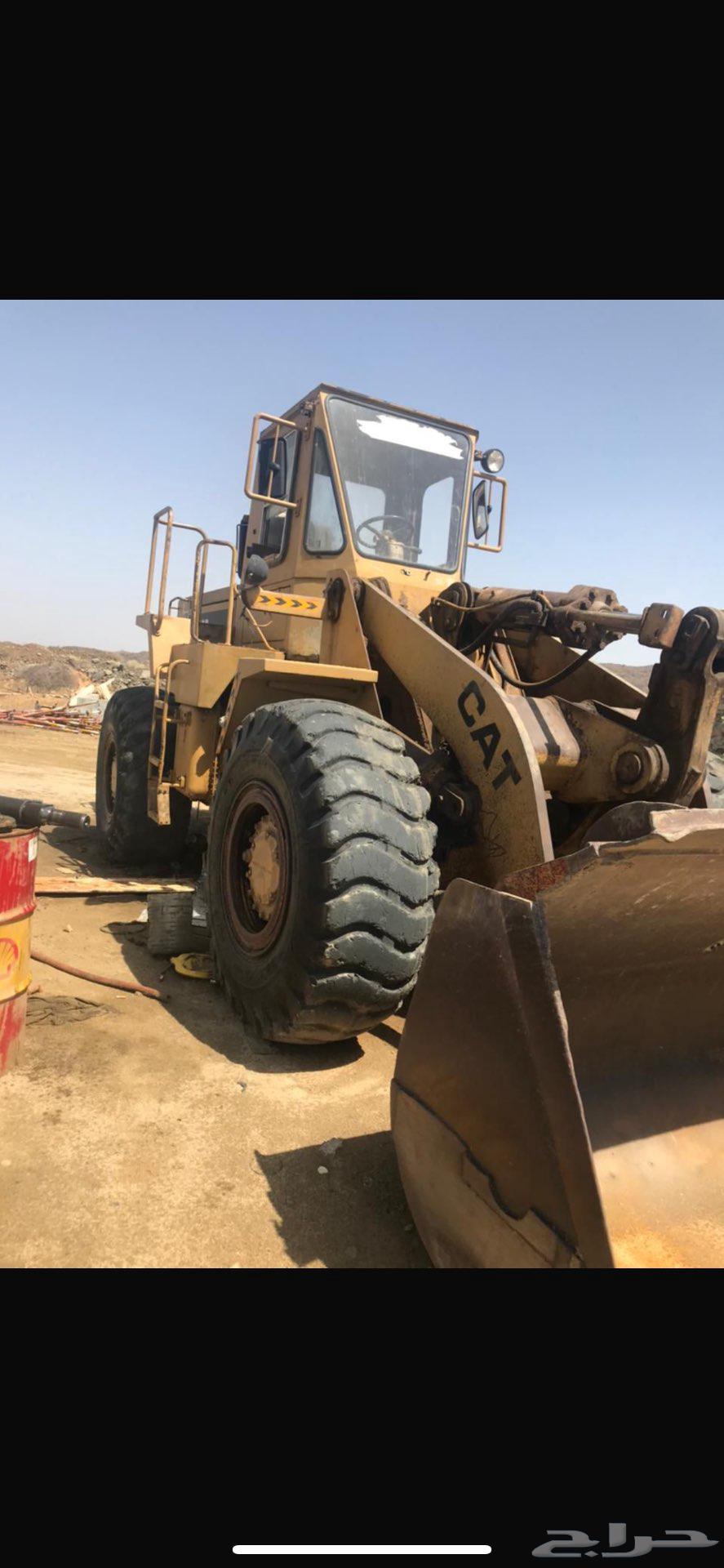 شيول 950b64374230008194111