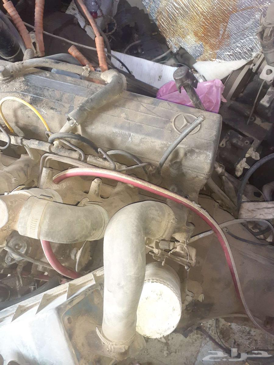 الشرقية مدينة الخبر64385859459969113