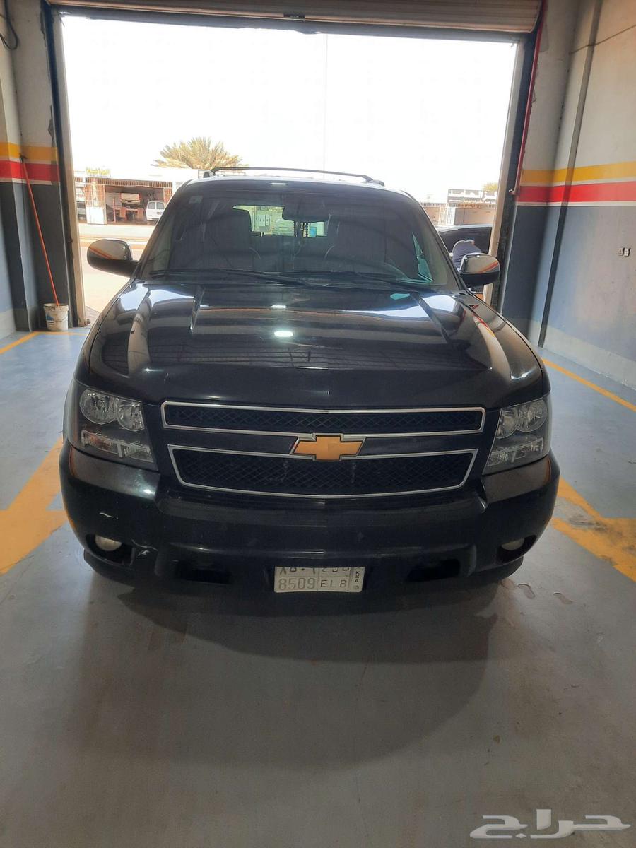 شفر تاهوا 2012 LT64377108310914112