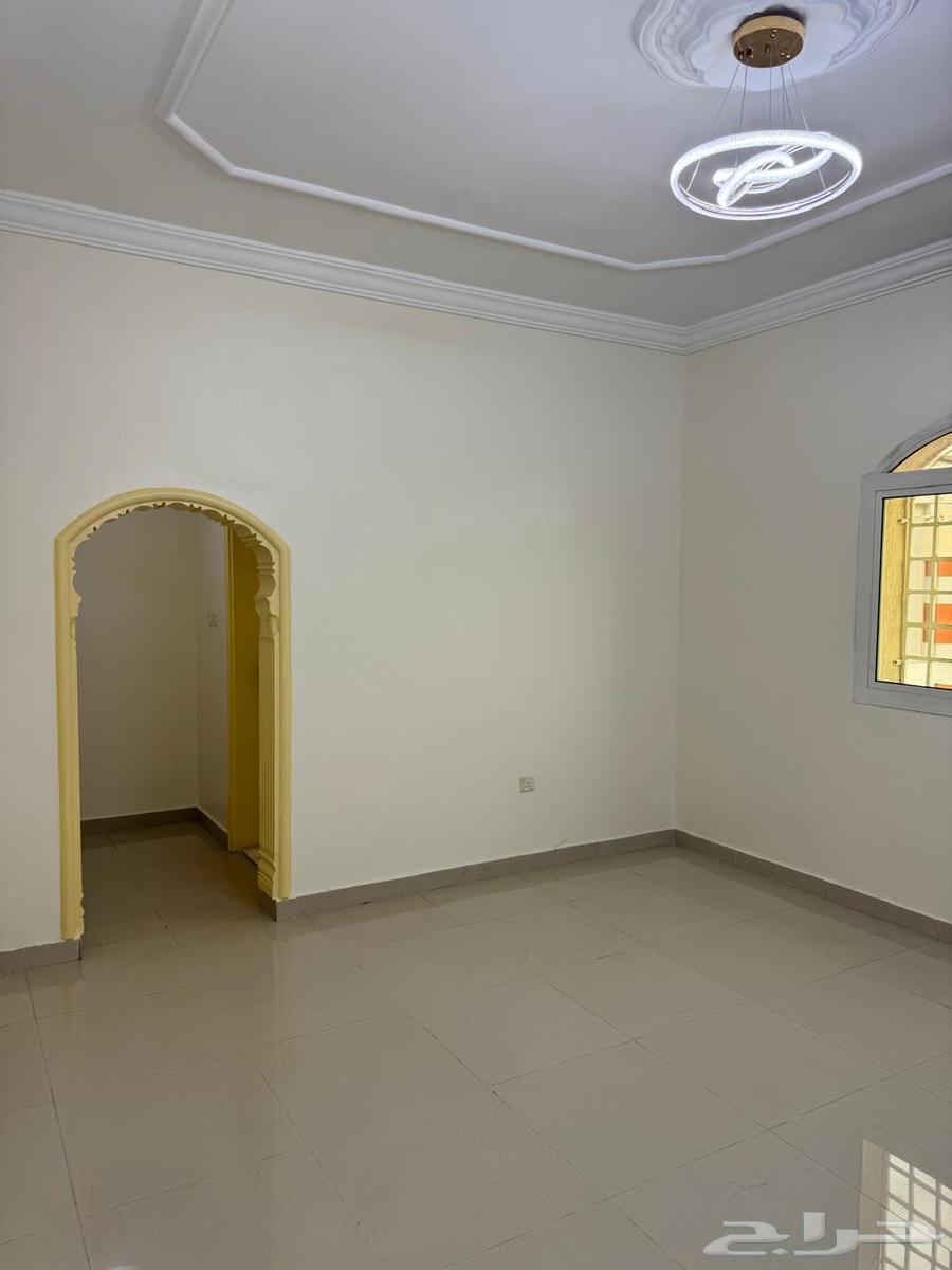 شقة للإيجار