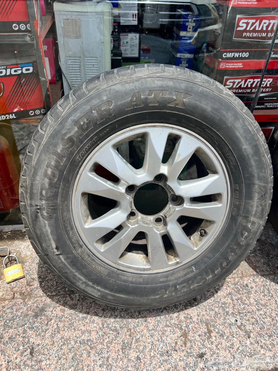 جده قويزه64379822088065113