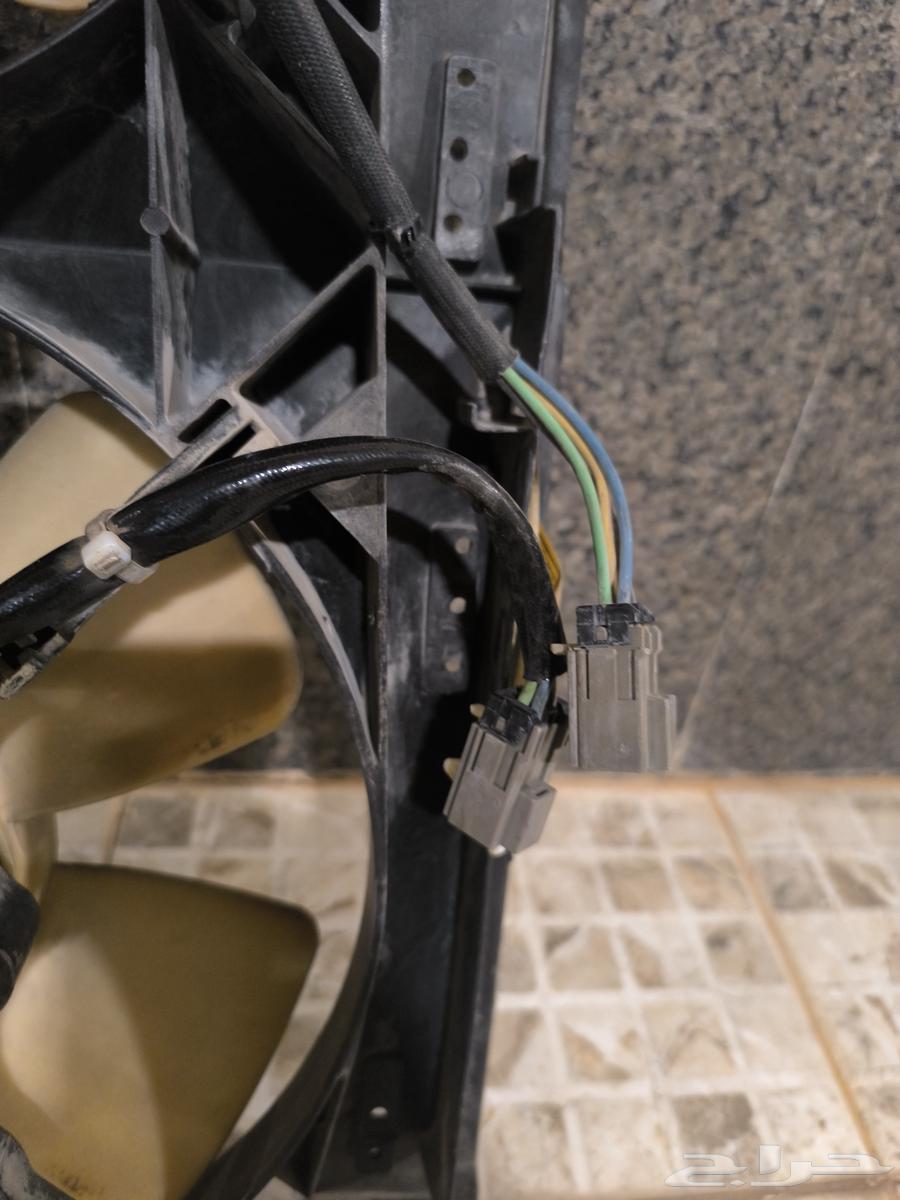 Lumina fans with braid64381521853569112