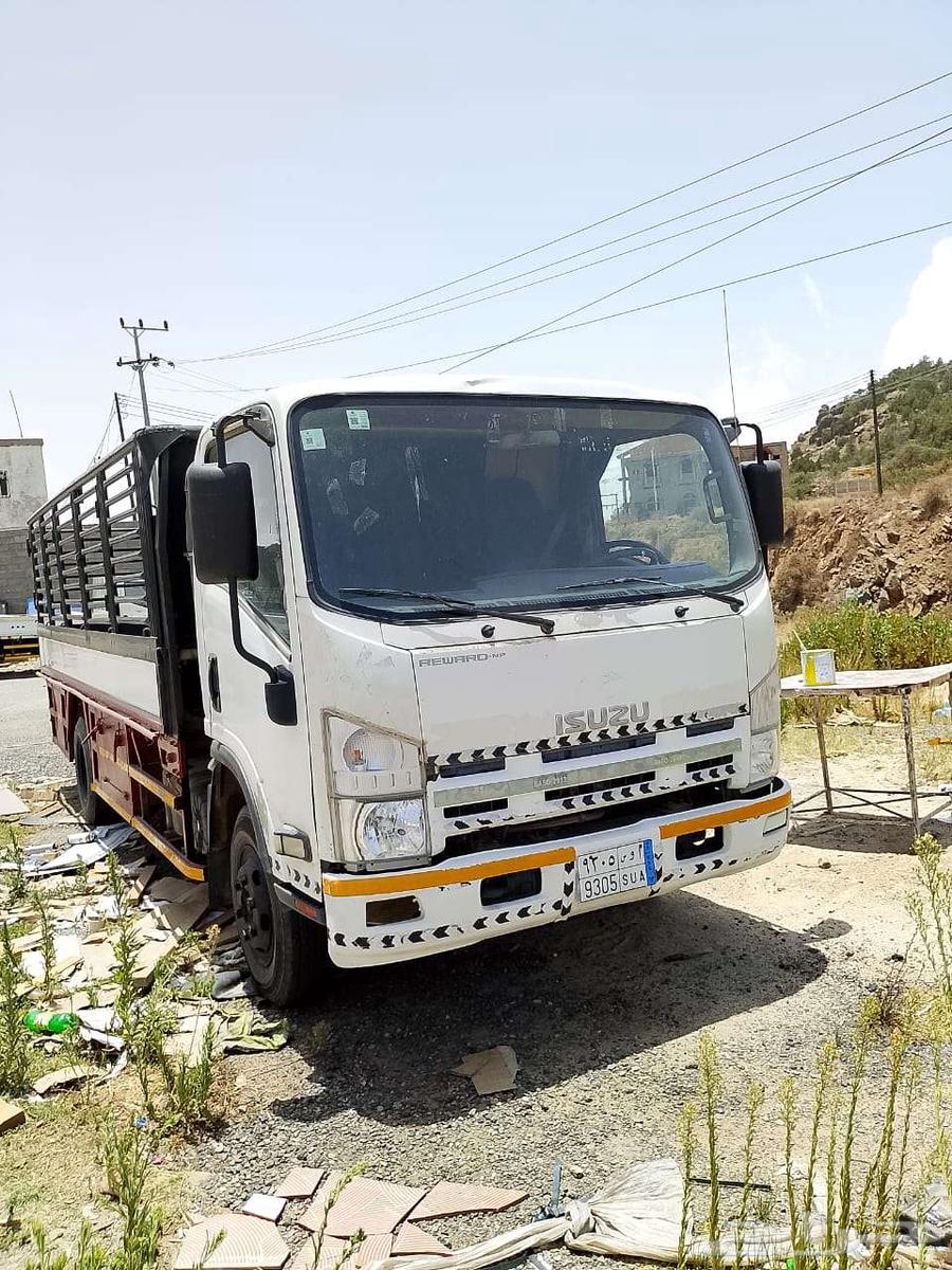 دينا 2011 الممشي 40964382169209987114