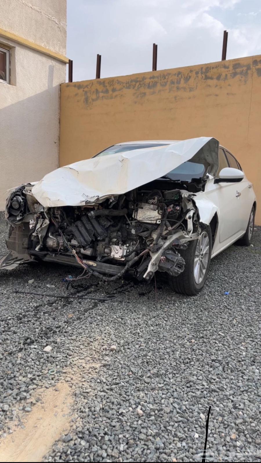 Tayma 2020 shocked64374451601282110