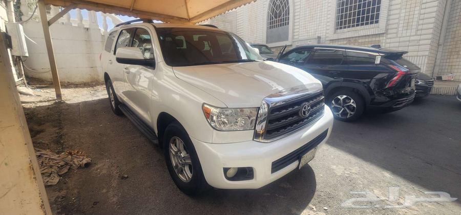 سكويا للبيع64376333096833111