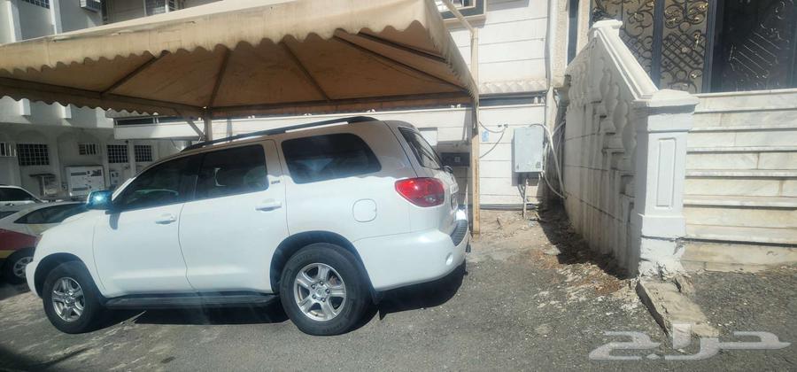 سكويا للبيع64376333096833114