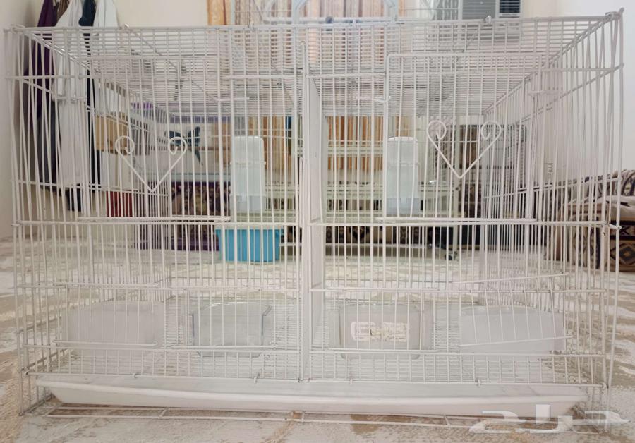 قفص ابو فاصل مقاس 601 نظيف64156584868611112