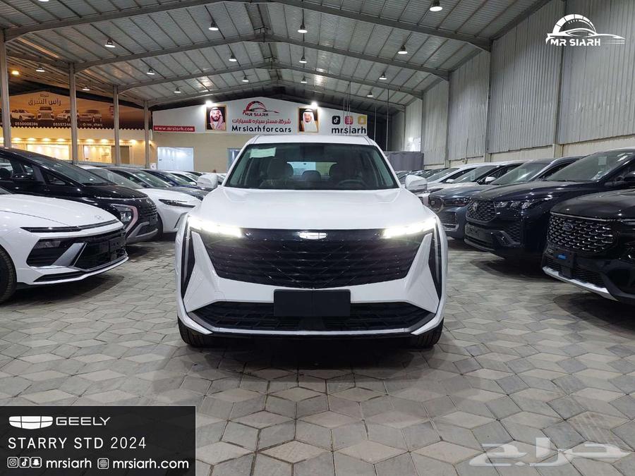 Geely Starry Standard 202464374831827587110