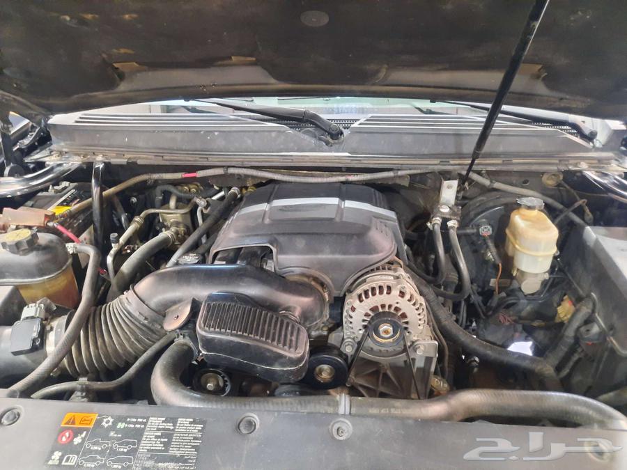 شفر تاهوا 2012 LT64377108310914114