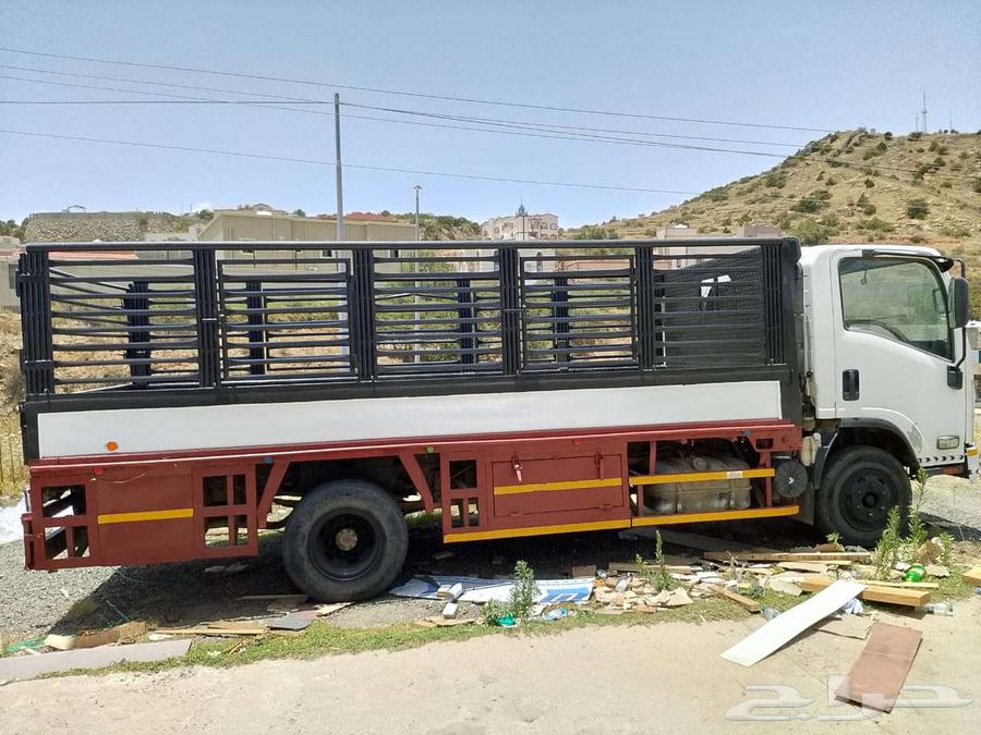 دينا 2011 الممشي 40964382169209987113