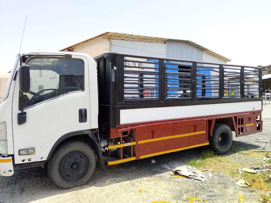 دينا 2011 الممشي 40964382169209987112