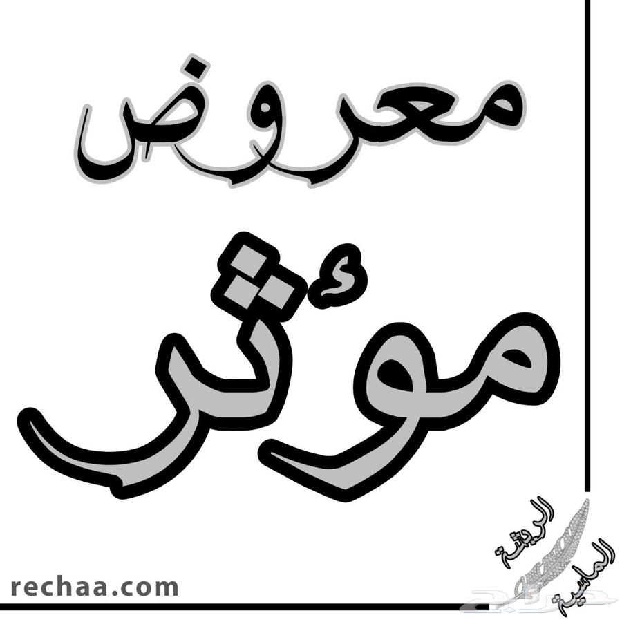 Writing impactful petitions64381384137603110