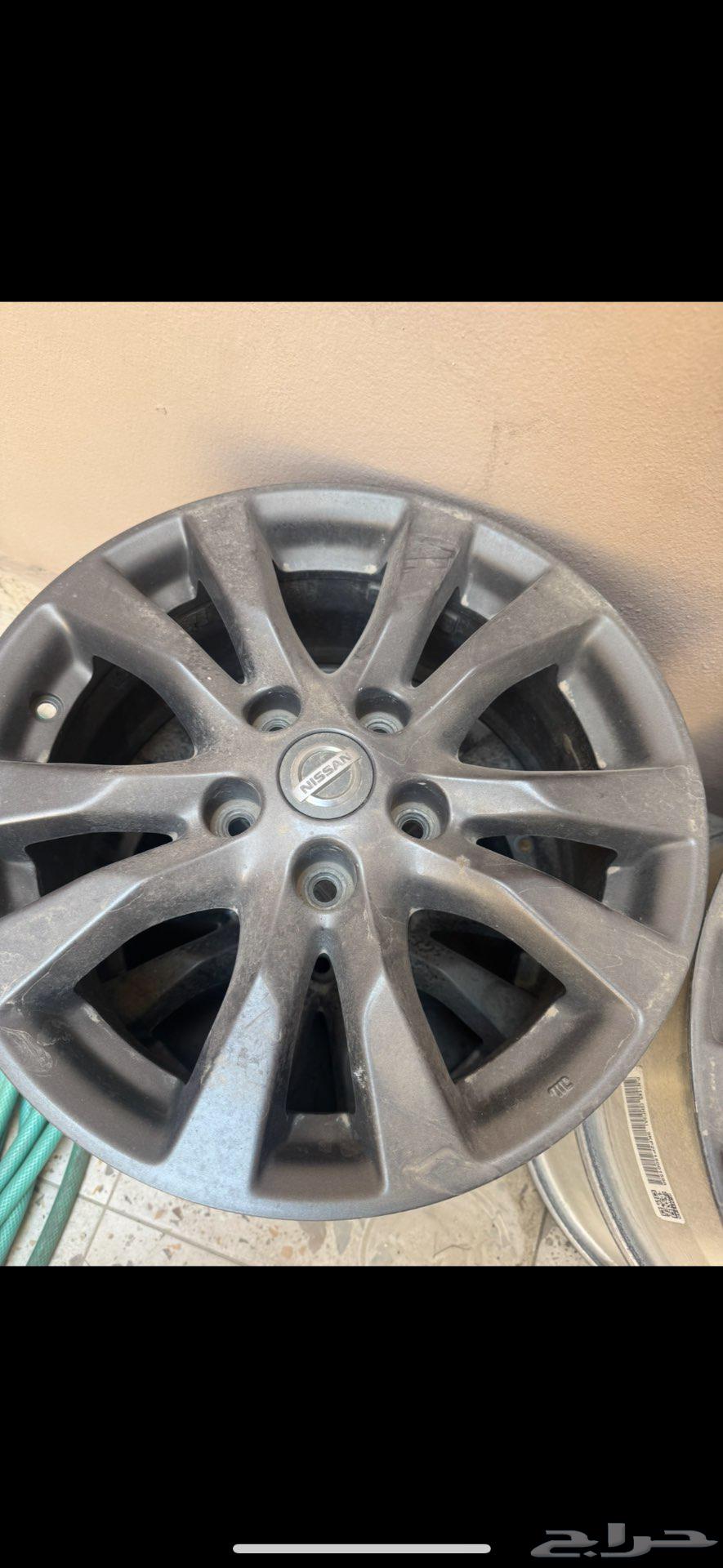 جنوط التيما64386821807362110