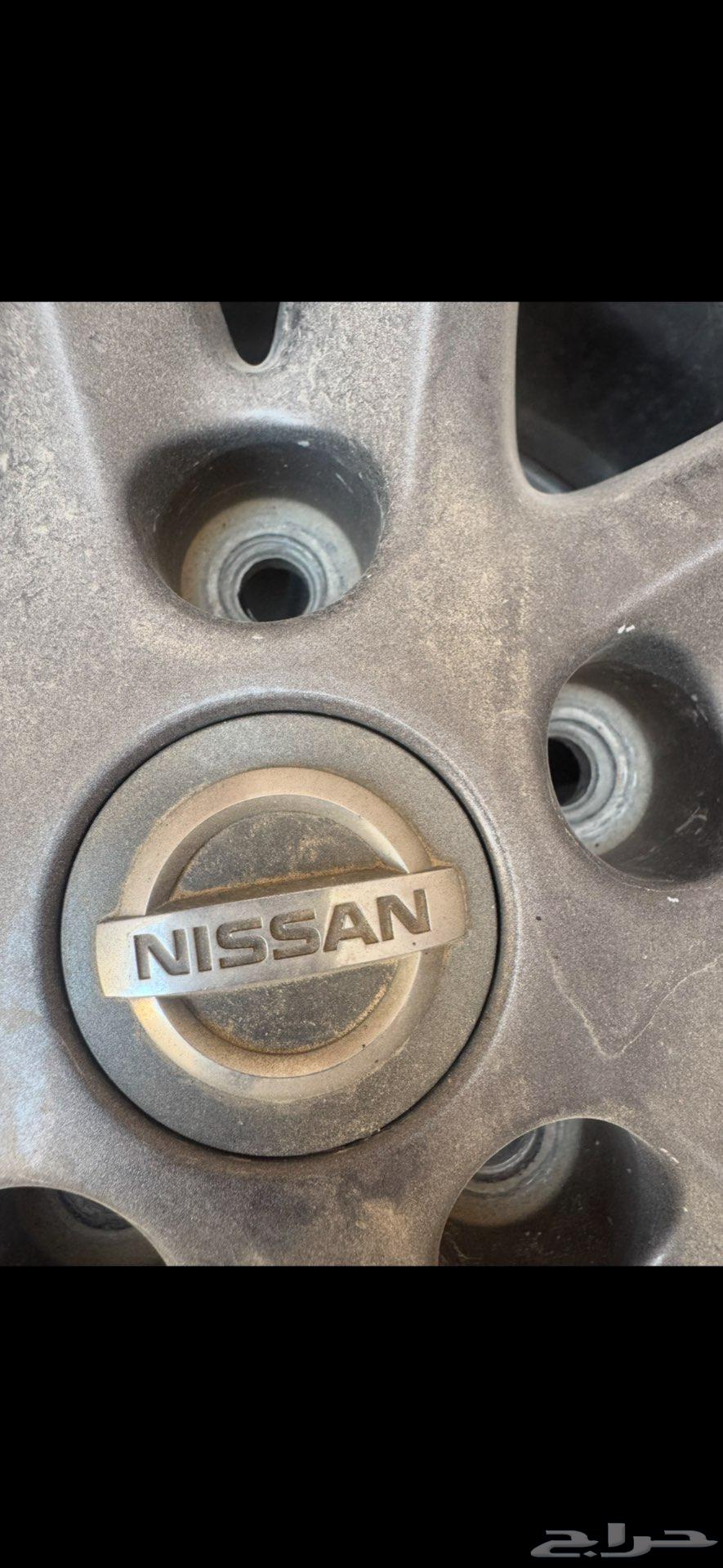 جنوط التيما64386821807362112