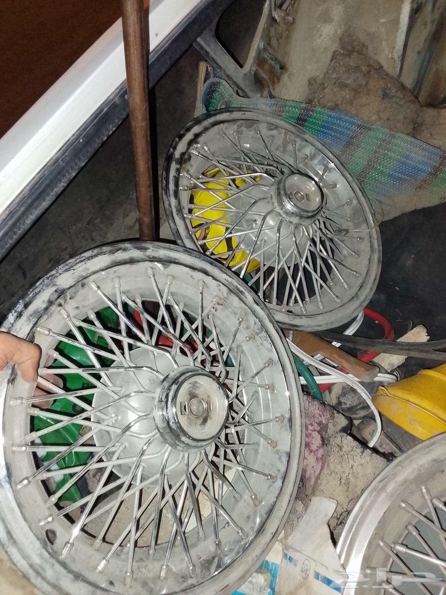 Caprices from model 80 to 9064386346861443110