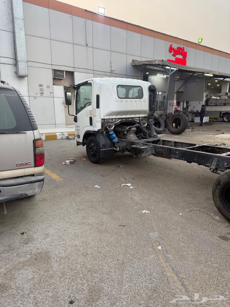 دينا ايسوزو 201464386724913281112