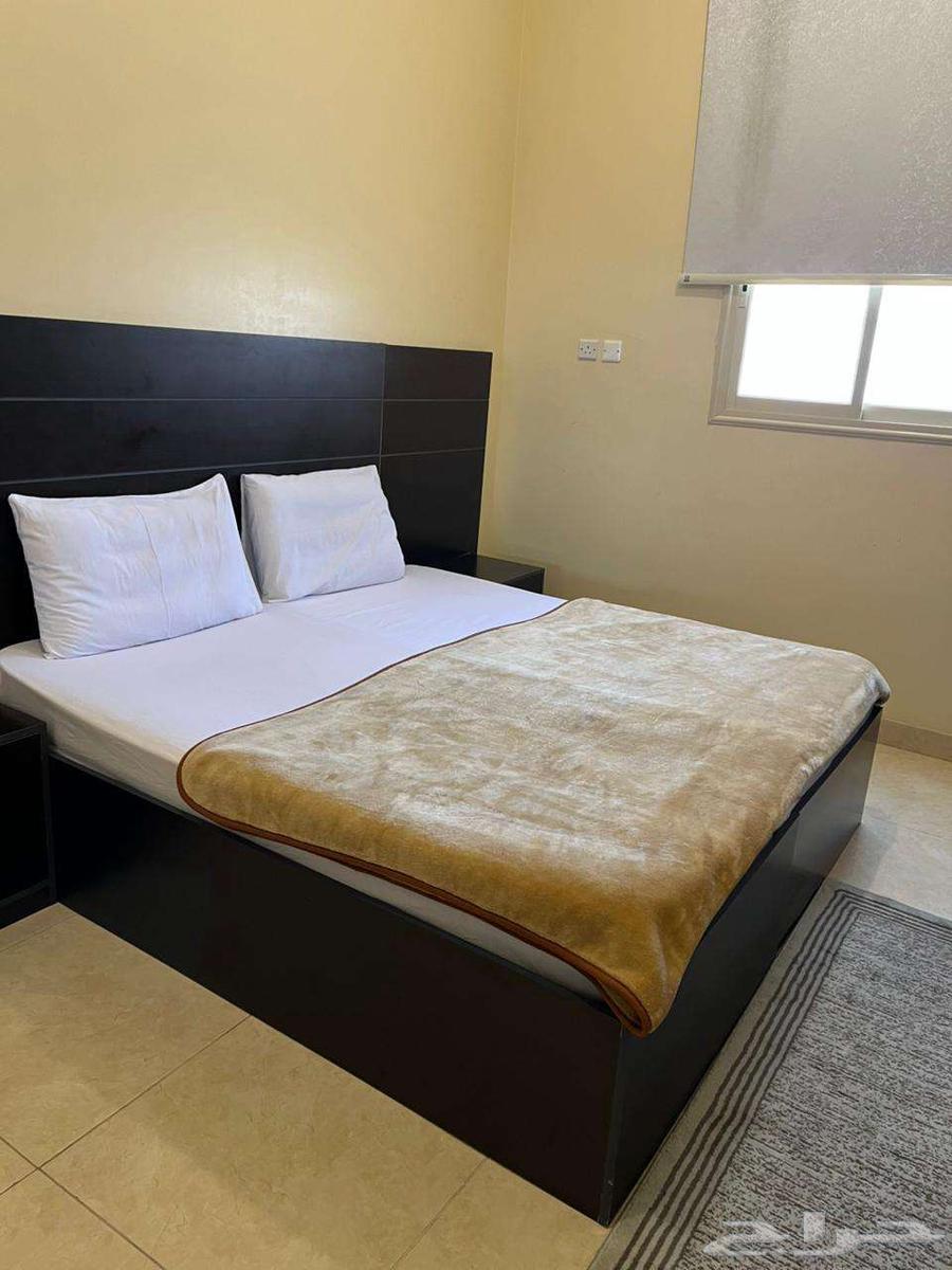 Apartments behind Al-Batragi College, annual rental63613332448257112