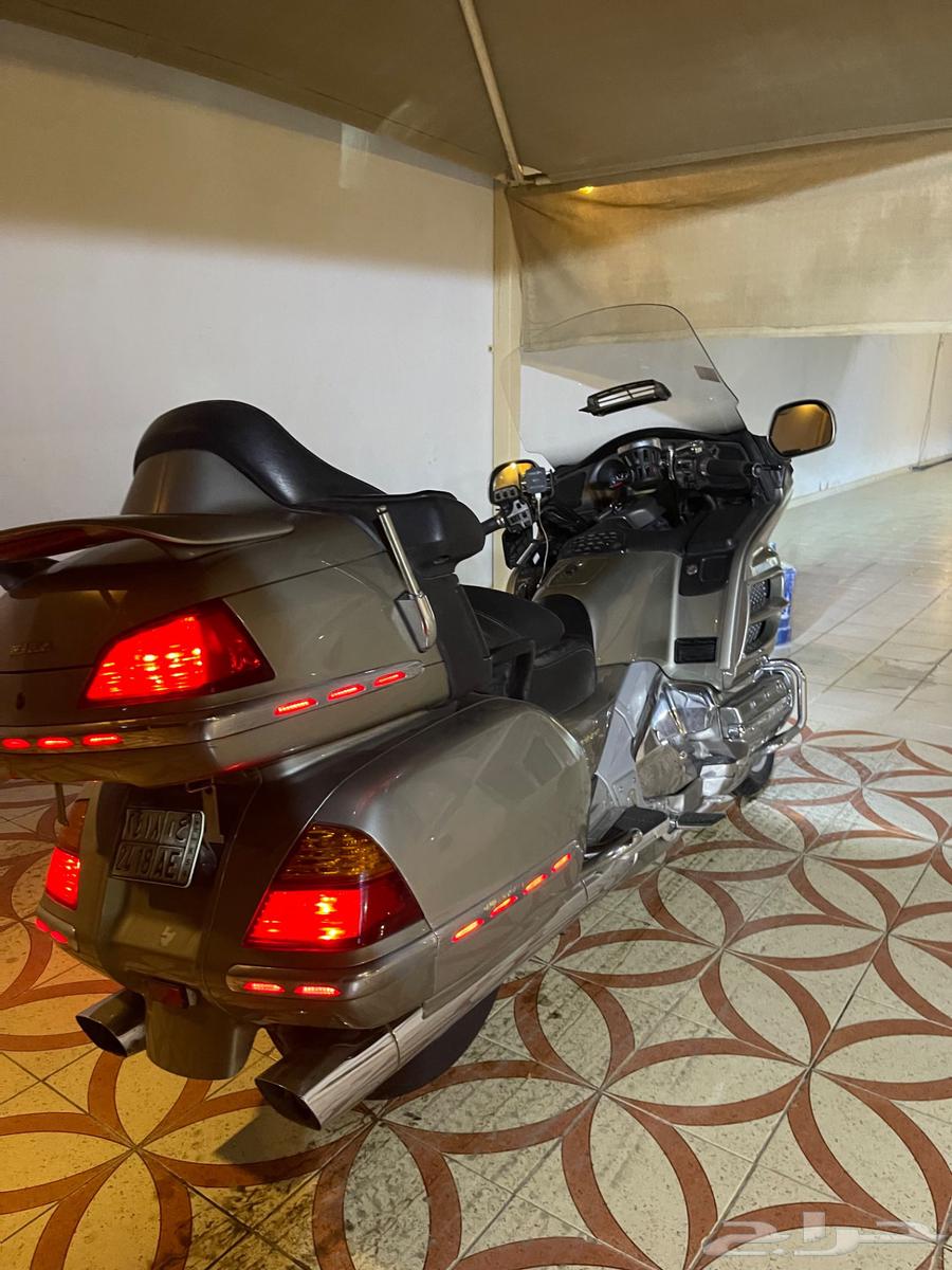 قولد وينق 200364392676238465112