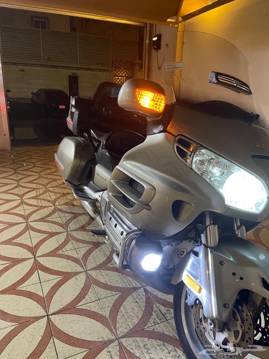 قولد وينق 200364392676238465113