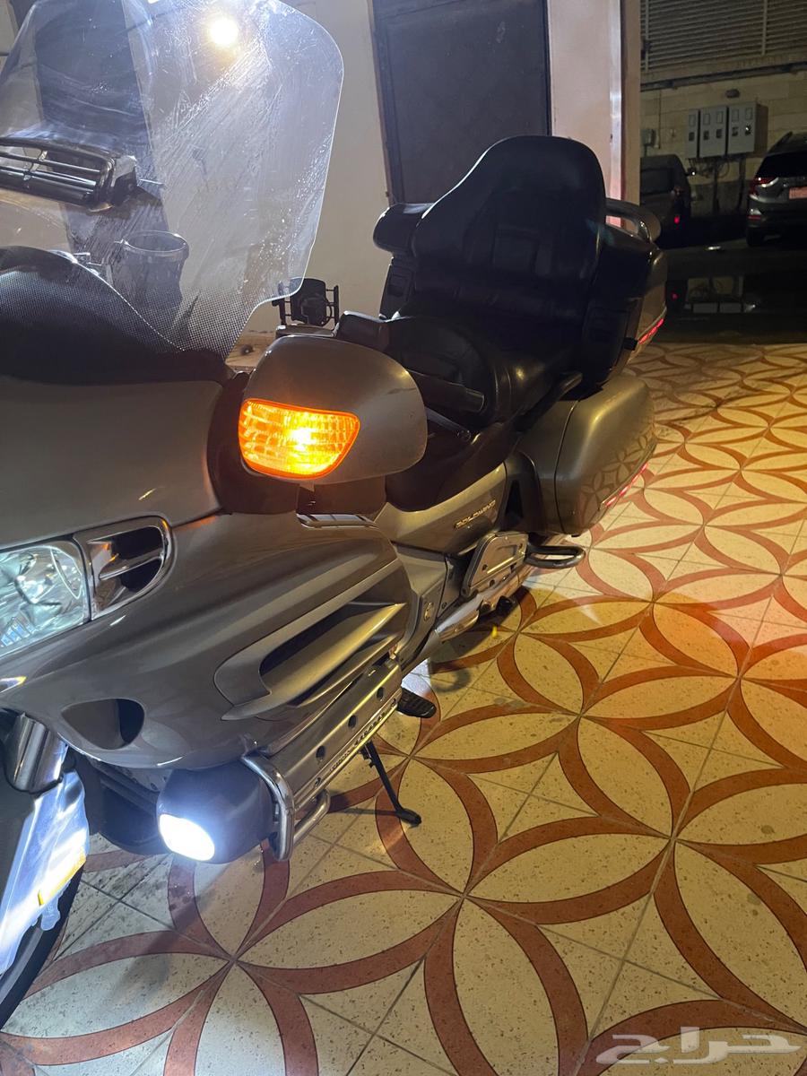 قولد وينق 200364392676238465114