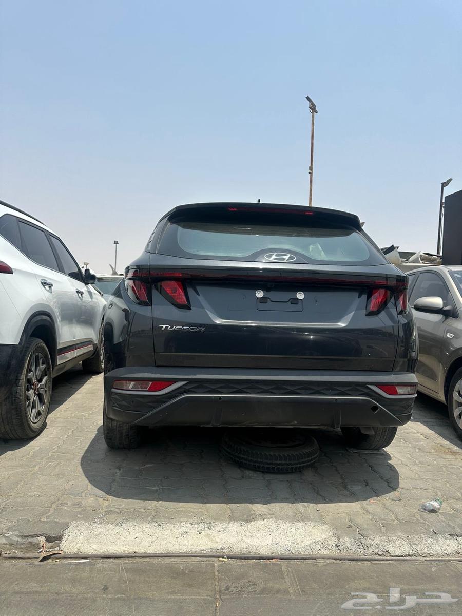 اصطب توسان 2021 الي 202464395615238785110