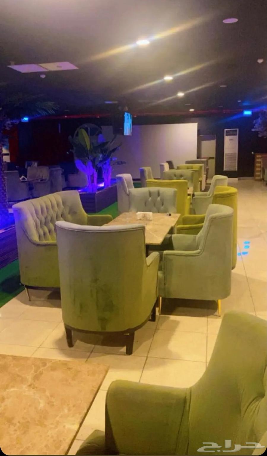 لاونج مقهى64189966465281110
