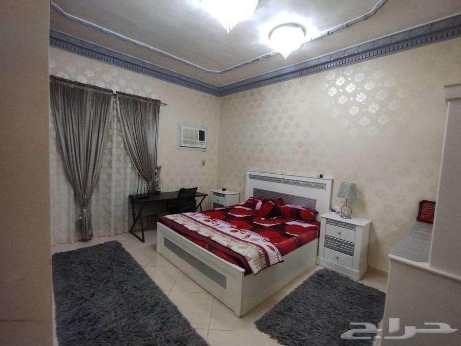 شقة للإيجار